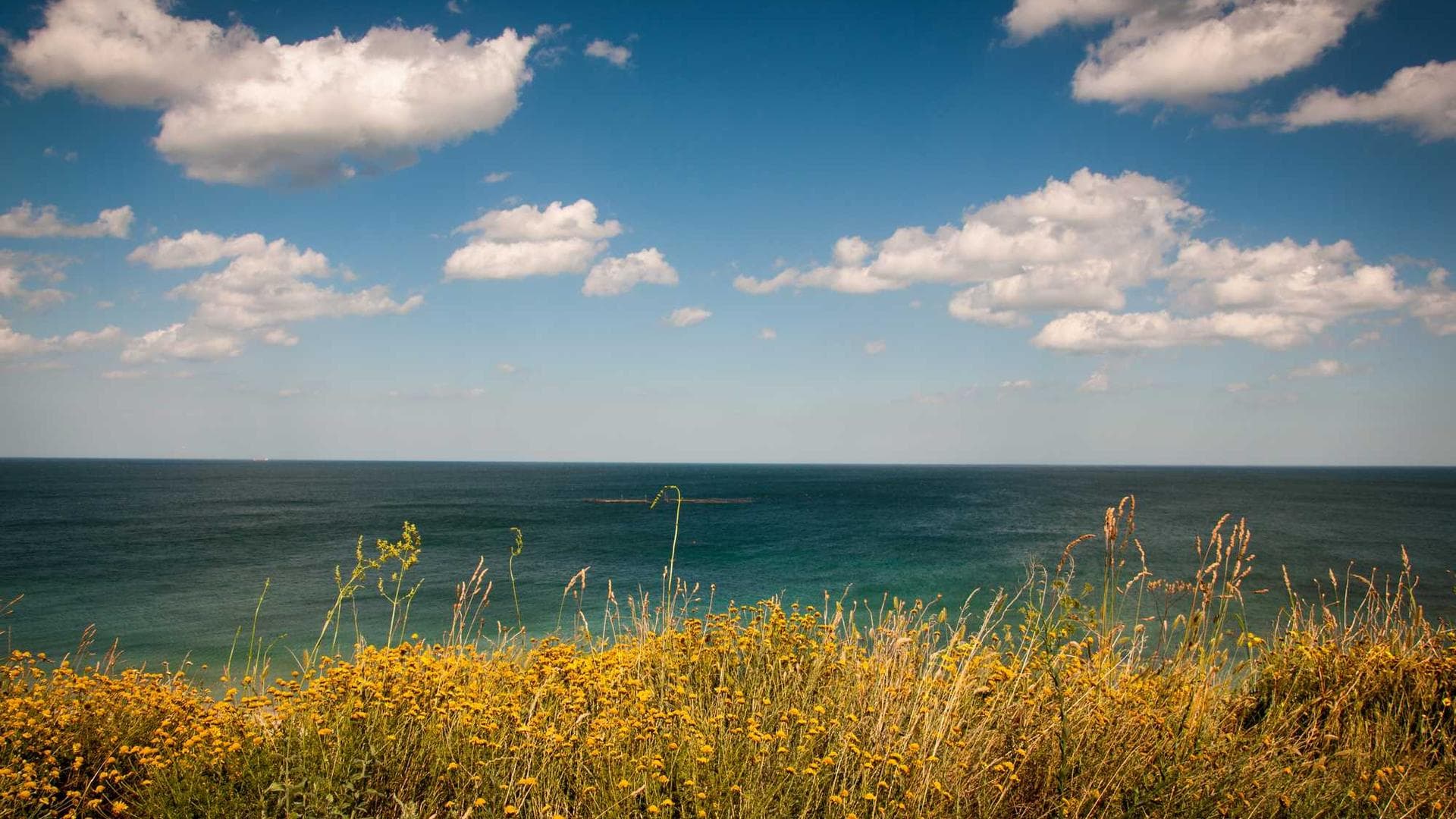 Modern apartment building